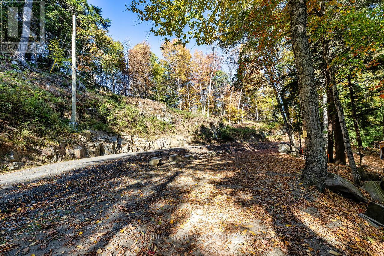 0 Thompson Portage Road, Lake Of Bays, Ontario  P0A 1H0 - Photo 3 - X13537826