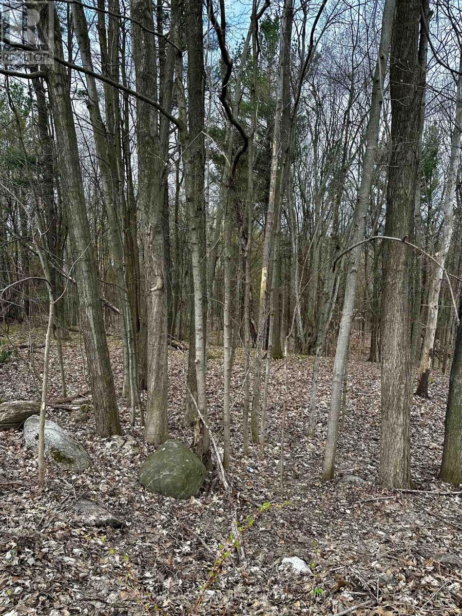 224 Church Street, Penetanguishene, Ontario  L9M 1G6 - Photo 10 - S13813000