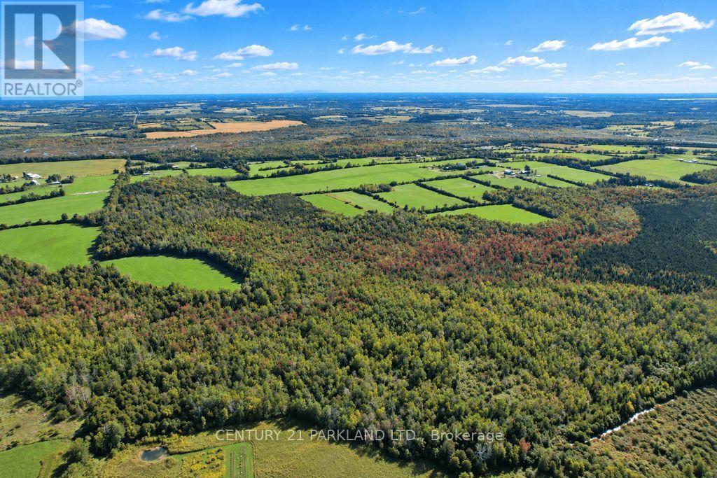 #10 - 1320 Concession Road E, Brock, Ontario  L0C 1H0 - Photo 10 - N13763392