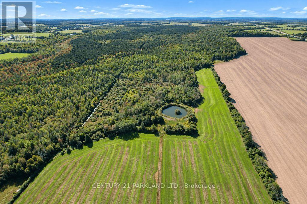 #10 - 1320 Concession Road E, Brock, Ontario  L0C 1H0 - Photo 12 - N13763392