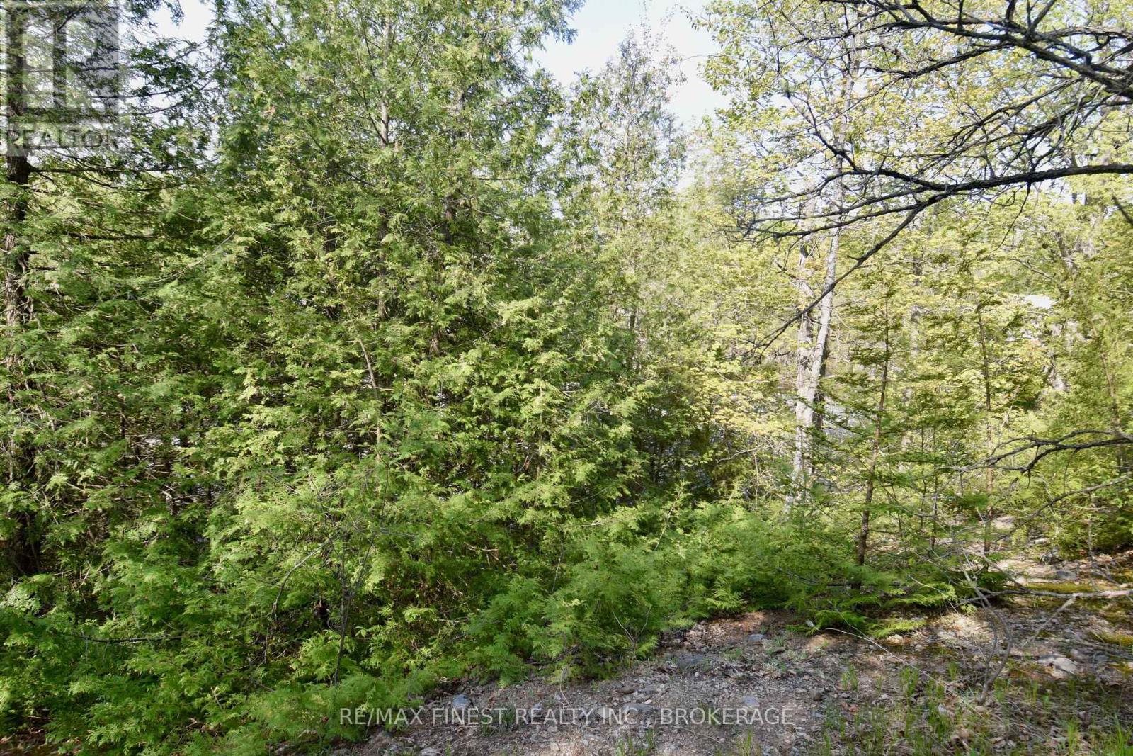 Lot 3 Ballantra Drive, Stone Mills, Ontario  K0K 3G0 - Photo 3 - X13813430