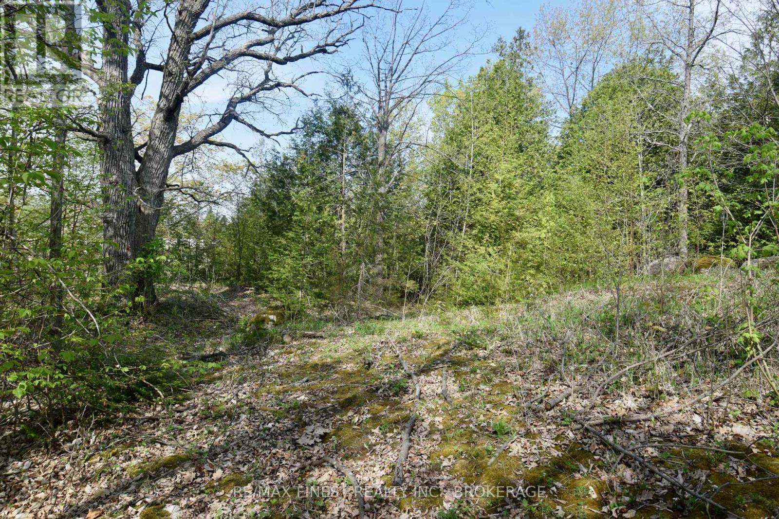 Lot 3 Ballantra Drive, Stone Mills, Ontario  K0K 3G0 - Photo 6 - X13813430