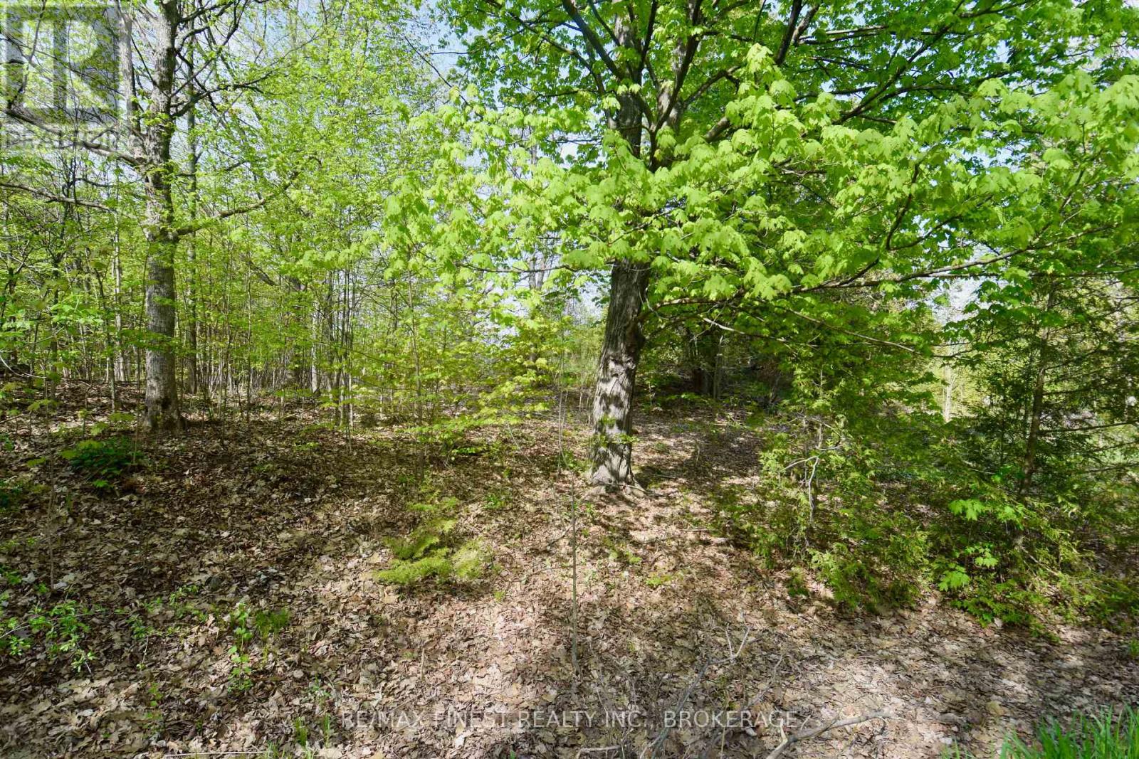 Lot 3 Ballantra Drive, Stone Mills, Ontario  K0K 3G0 - Photo 8 - X13813430