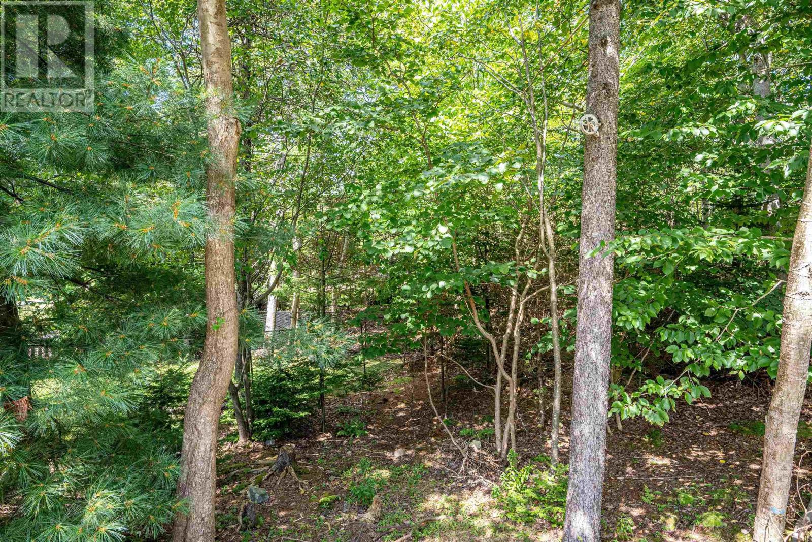 19 Remington Court photo 41
