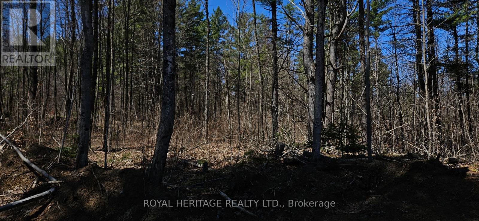 1061 Gull Lake Road, Frontenac, Ontario K0H 1B0 - Photo 20 - X13601560