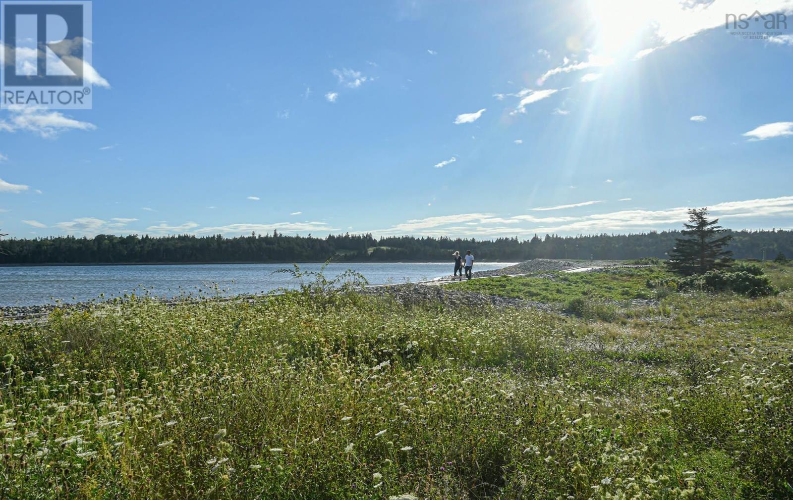 picture 45