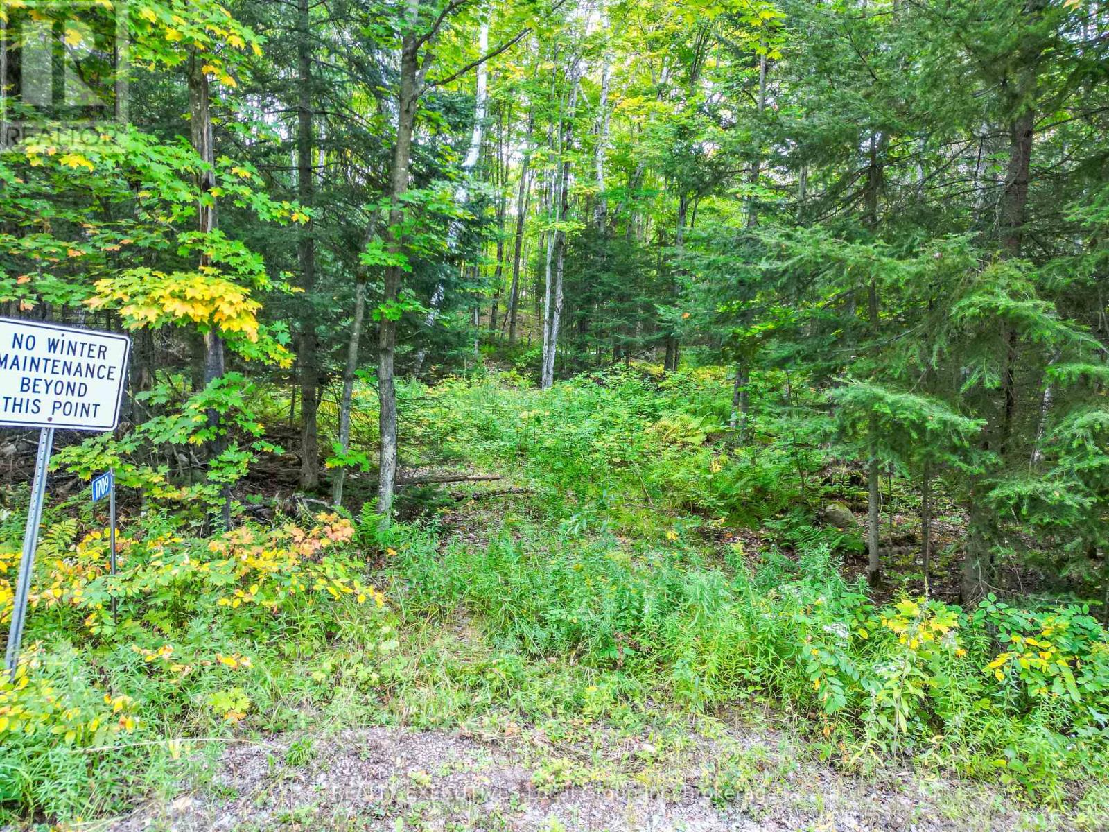 1709 Maple Road, Chisholm, Ontario  P0H 1Z0 - Photo 2 - X13813648