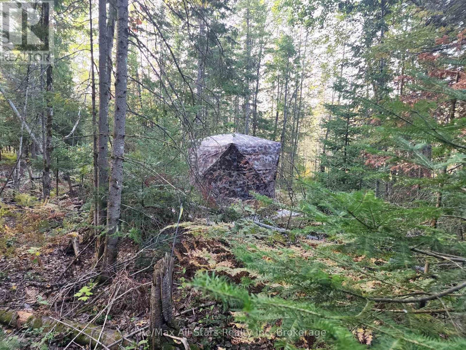 1181 Moot Lake Road, Lake Of Bays, Ontario  P0B 1A0 - Photo 18 - X13813776