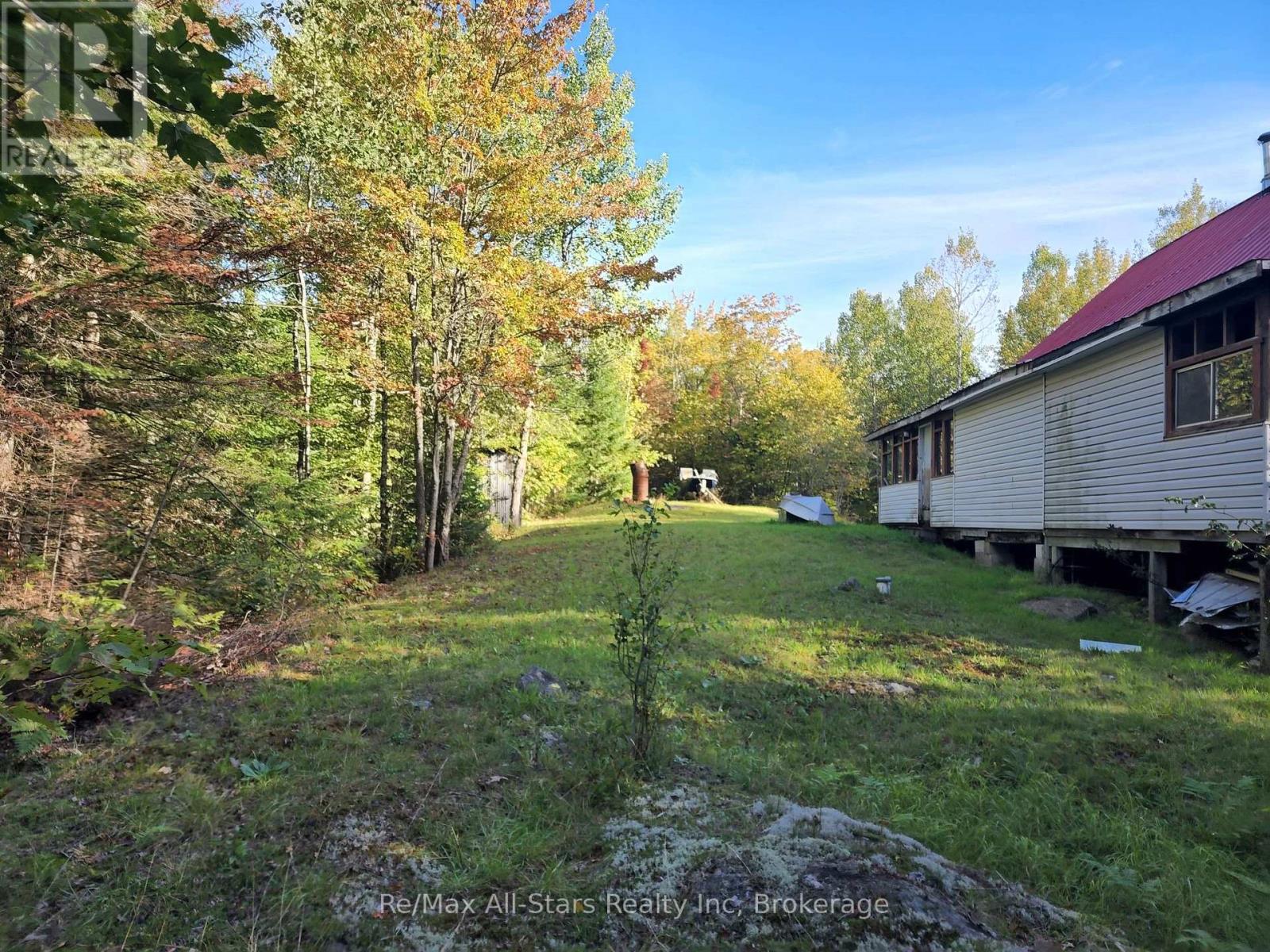 1181 Moot Lake Road, Lake Of Bays, Ontario  P0B 1A0 - Photo 4 - X13813776