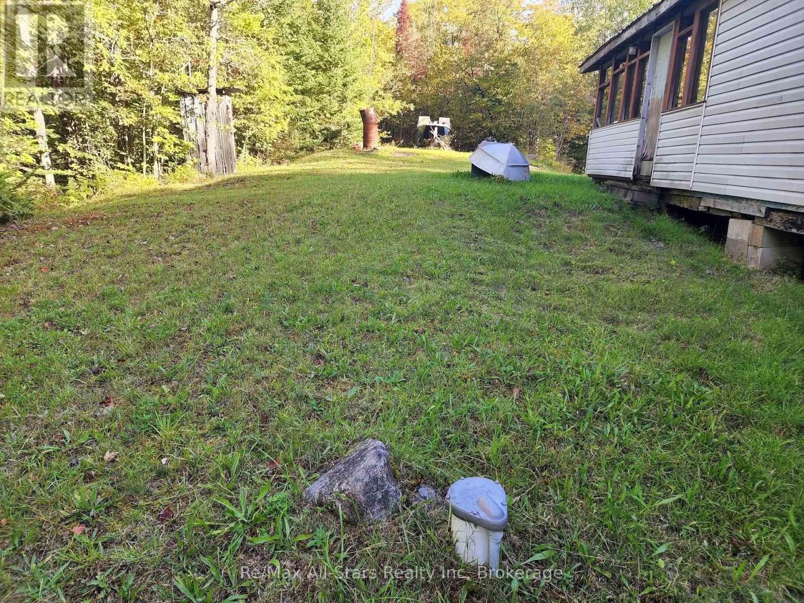 1181 Moot Lake Road, Lake Of Bays, Ontario  P0B 1A0 - Photo 6 - X13813776