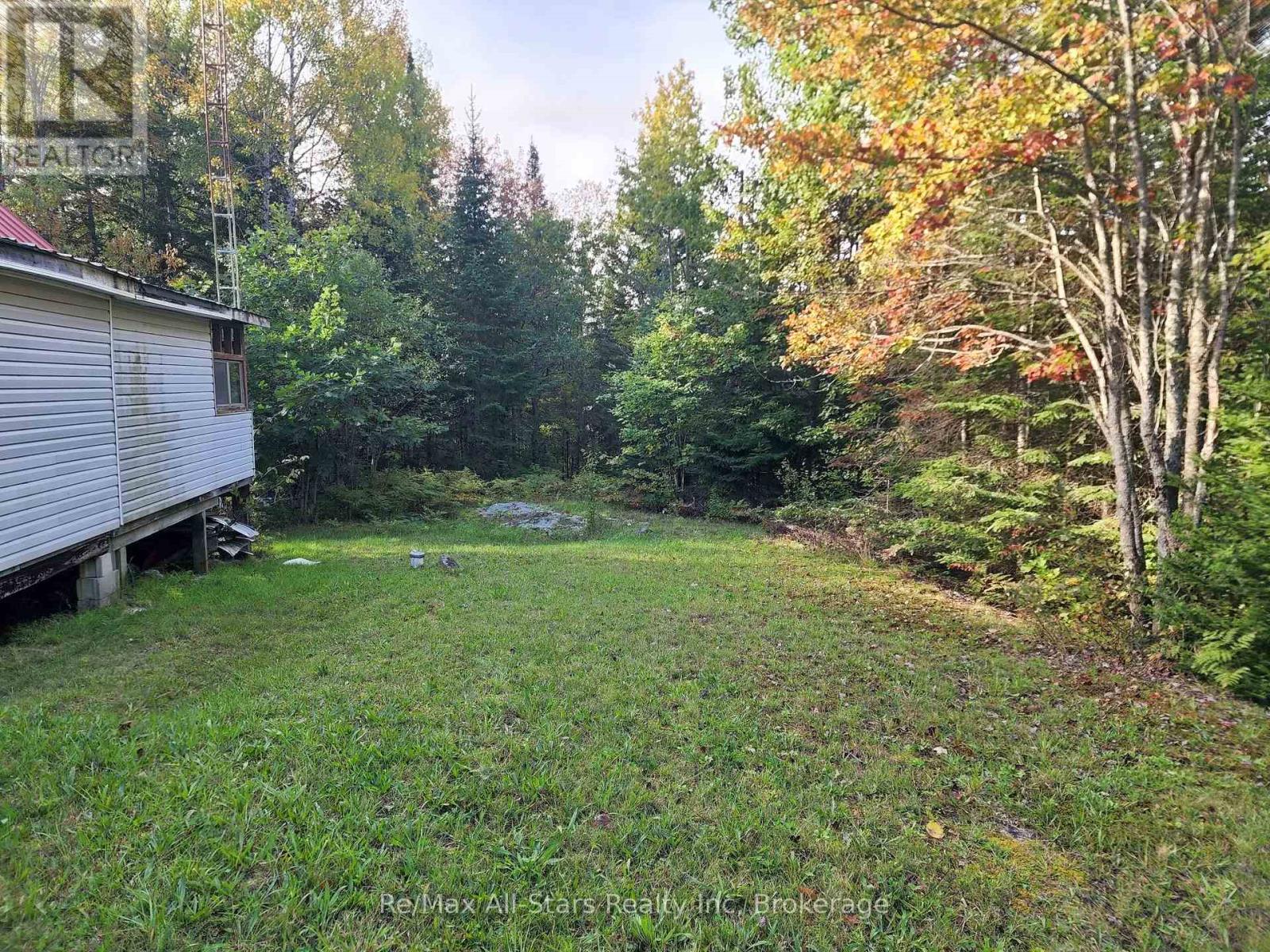 1181 Moot Lake Road, Lake Of Bays, Ontario  P0B 1A0 - Photo 8 - X13813776