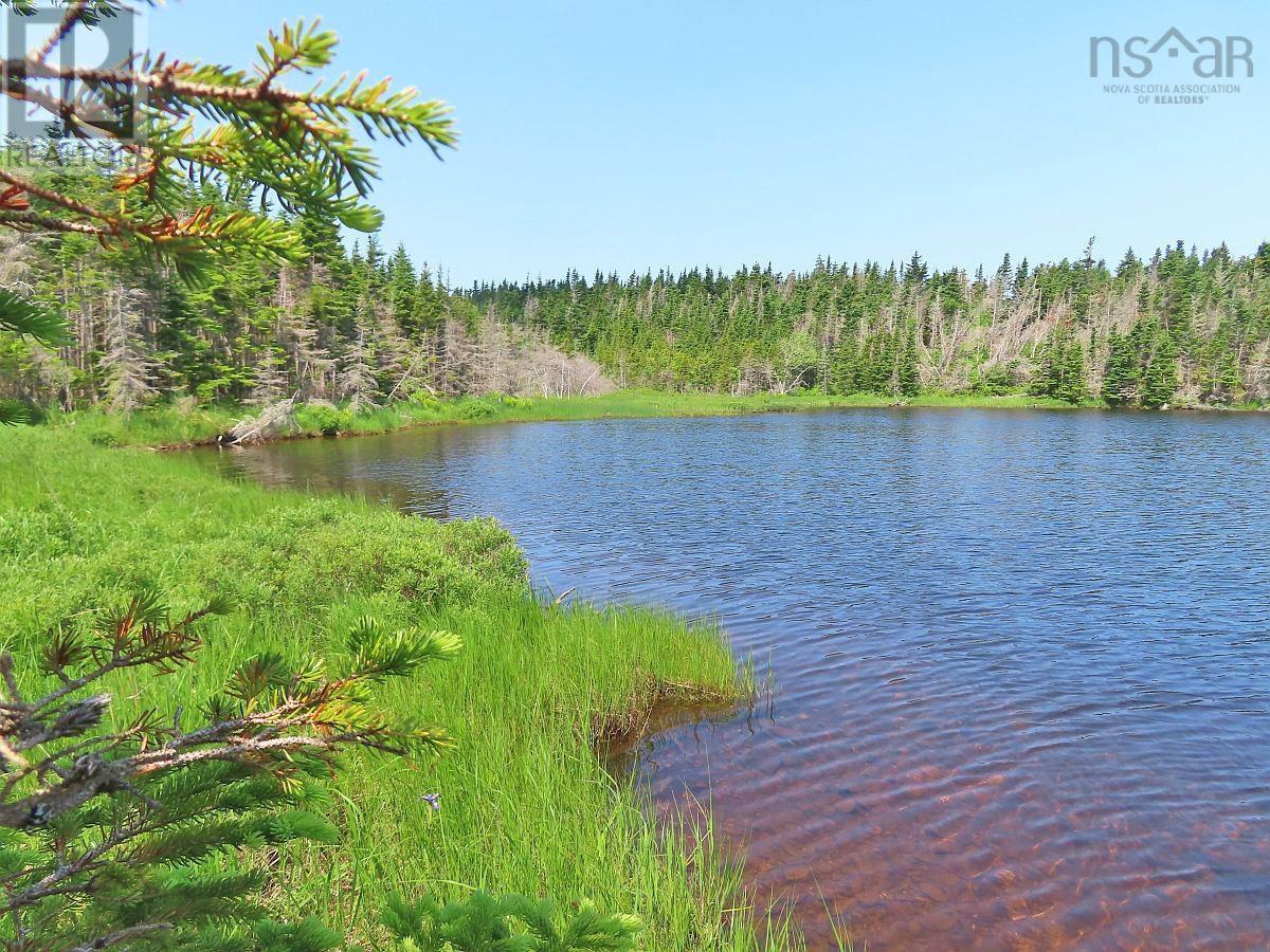 Lot 31 Belfry Lake Road, Gabarus Lake, Nova Scotia B1K 2E8 - Photo 1 - 202529486