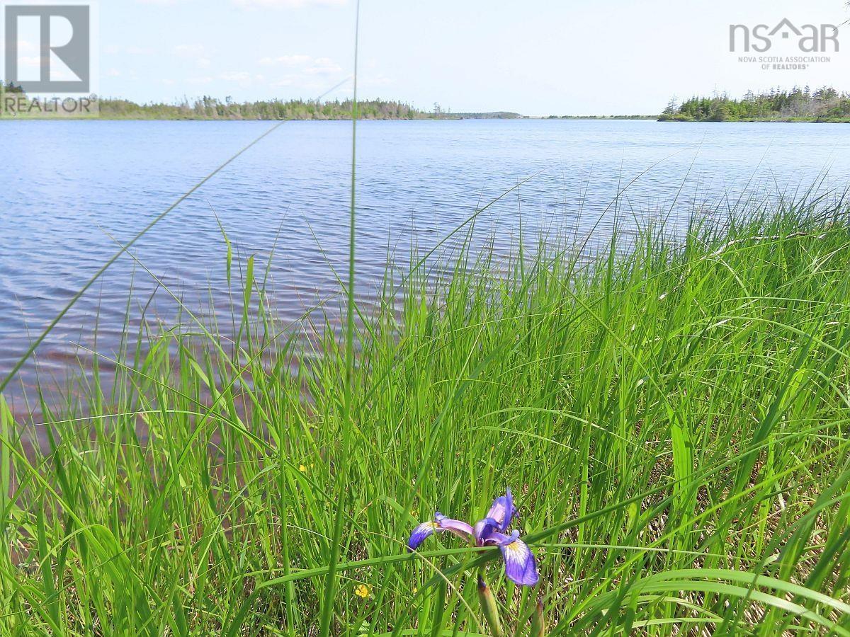 Lot 31 Belfry Lake Road, Gabarus Lake, Nova Scotia B1K 2E8 - Photo 12 - 202529486