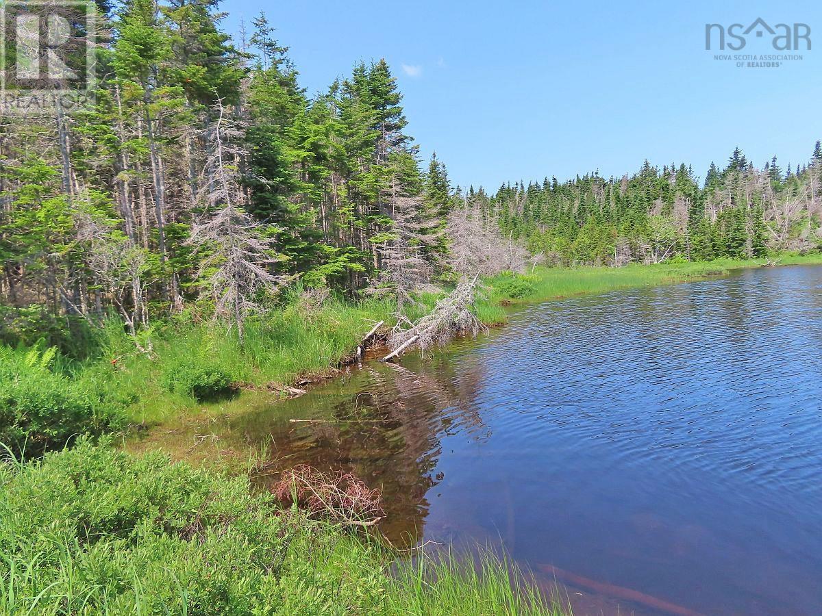 Lot 31 Belfry Lake Road, Gabarus Lake, Nova Scotia B1K 2E8 - Photo 10 - 202529486