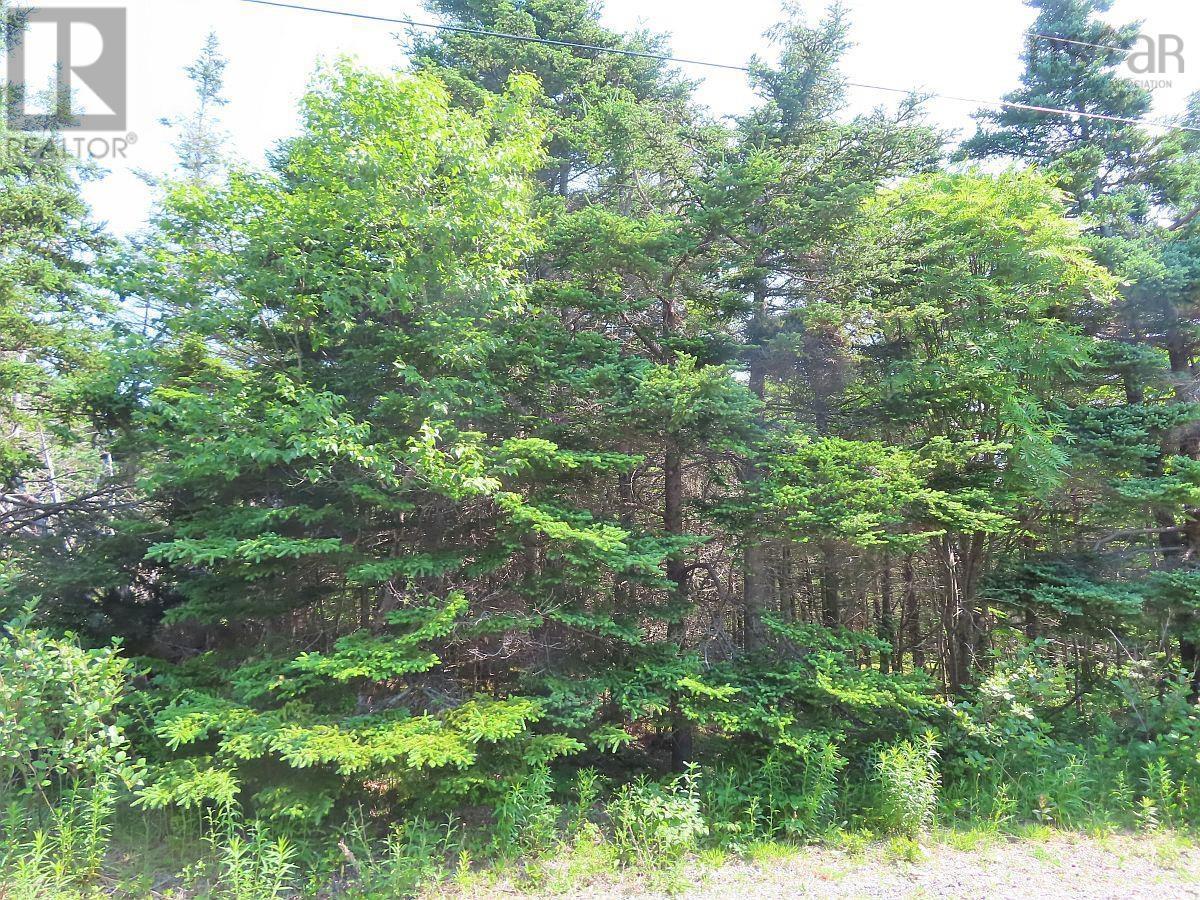 Lot 31 Belfry Lake Road, Gabarus Lake, Nova Scotia B1K 2E8 - Photo 16 - 202529486