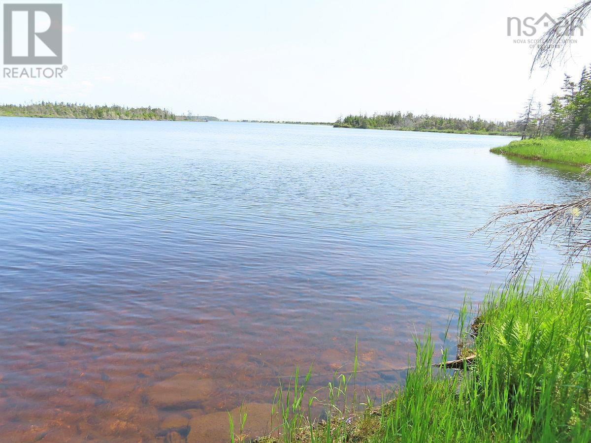Lot 31 Belfry Lake Road, Gabarus Lake, Nova Scotia B1K 2E8 - Photo 3 - 202529486