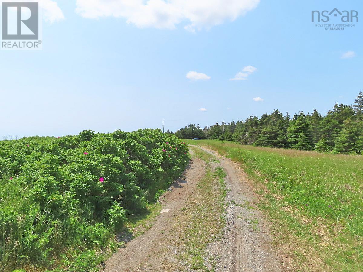 Lot 31 Belfry Lake Road, Gabarus Lake, Nova Scotia B1K 2E8 - Photo 30 - 202529486