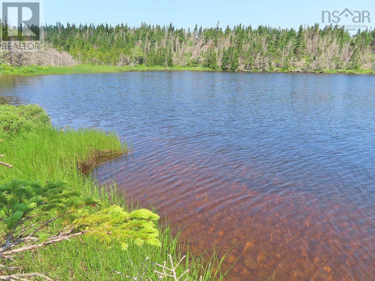 Lot 31 Belfry Lake Road, Gabarus Lake, Nova Scotia B1K 2E8 - Photo 4 - 202529486