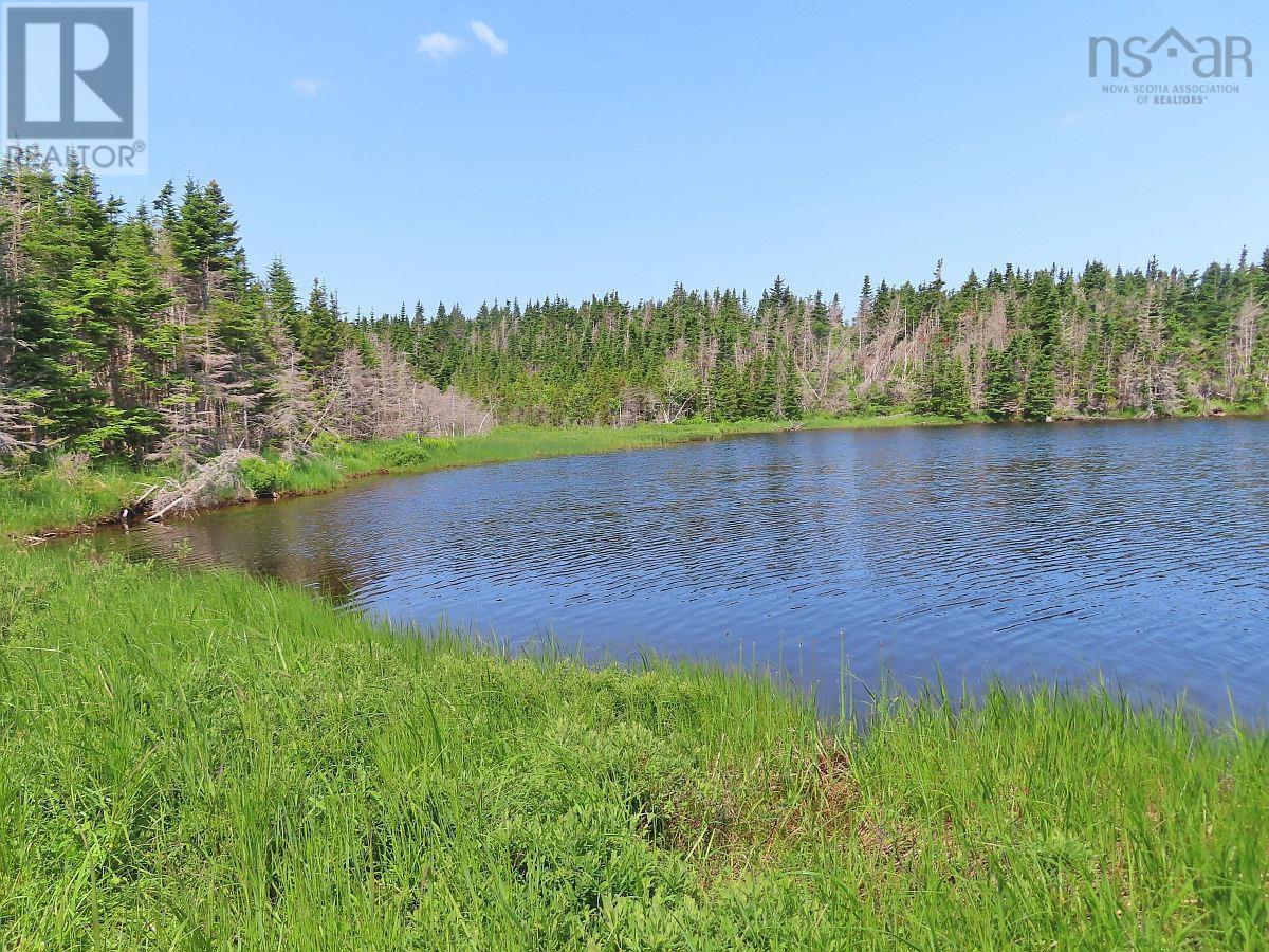 Lot 31 Belfry Lake Road, Gabarus Lake, Nova Scotia B1K 2E8 - Photo 5 - 202529486