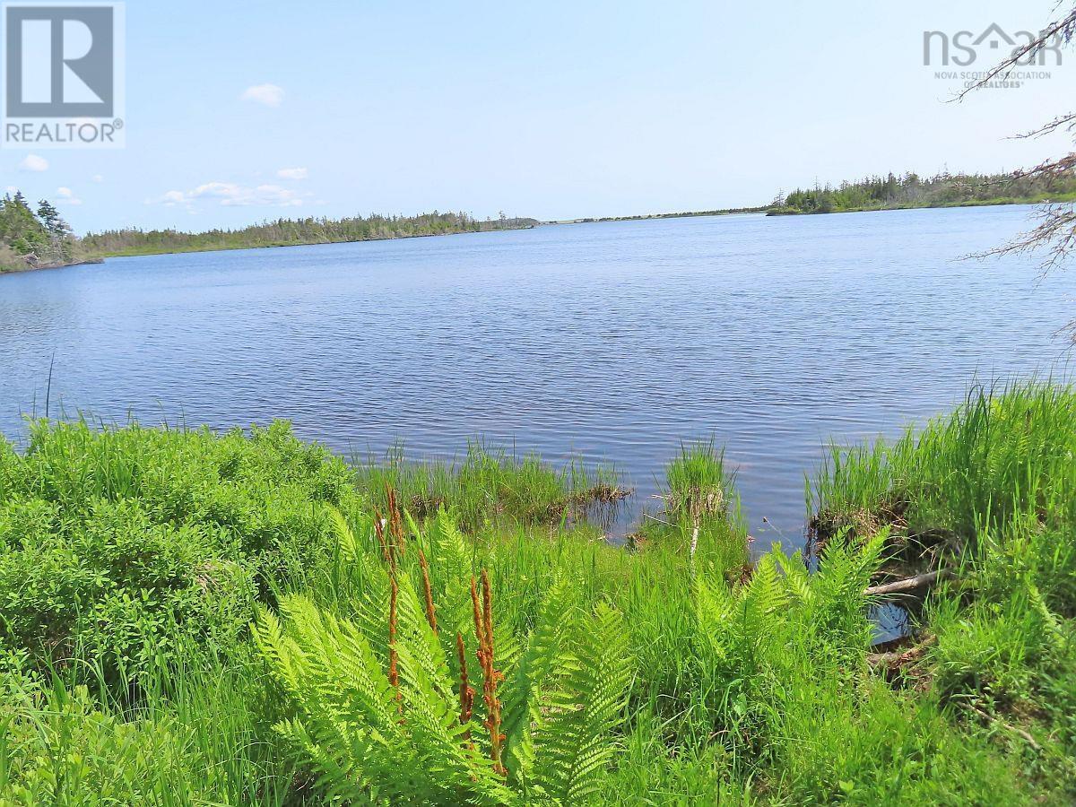 Lot 31 Belfry Lake Road, Gabarus Lake, Nova Scotia B1K 2E8 - Photo 6 - 202529486