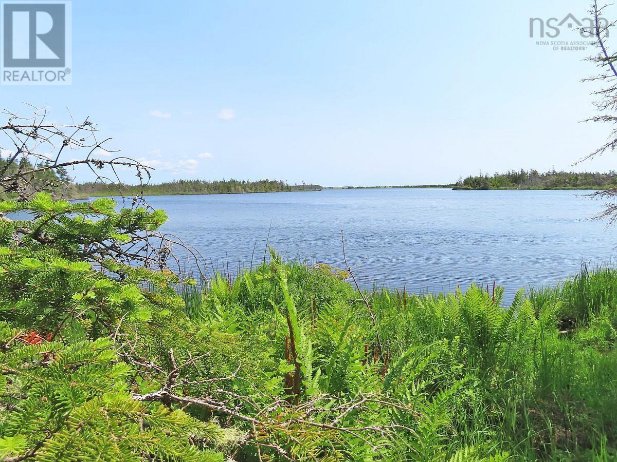 Lot 31 Belfry Lake Road, Gabarus Lake, Nova Scotia B1K 2E8 - Photo 9 - 202529486