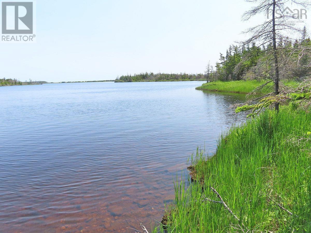 Lot 31 Belfry Lake Road, Gabarus Lake, Nova Scotia B1K 2E8 - Photo 7 - 202529486
