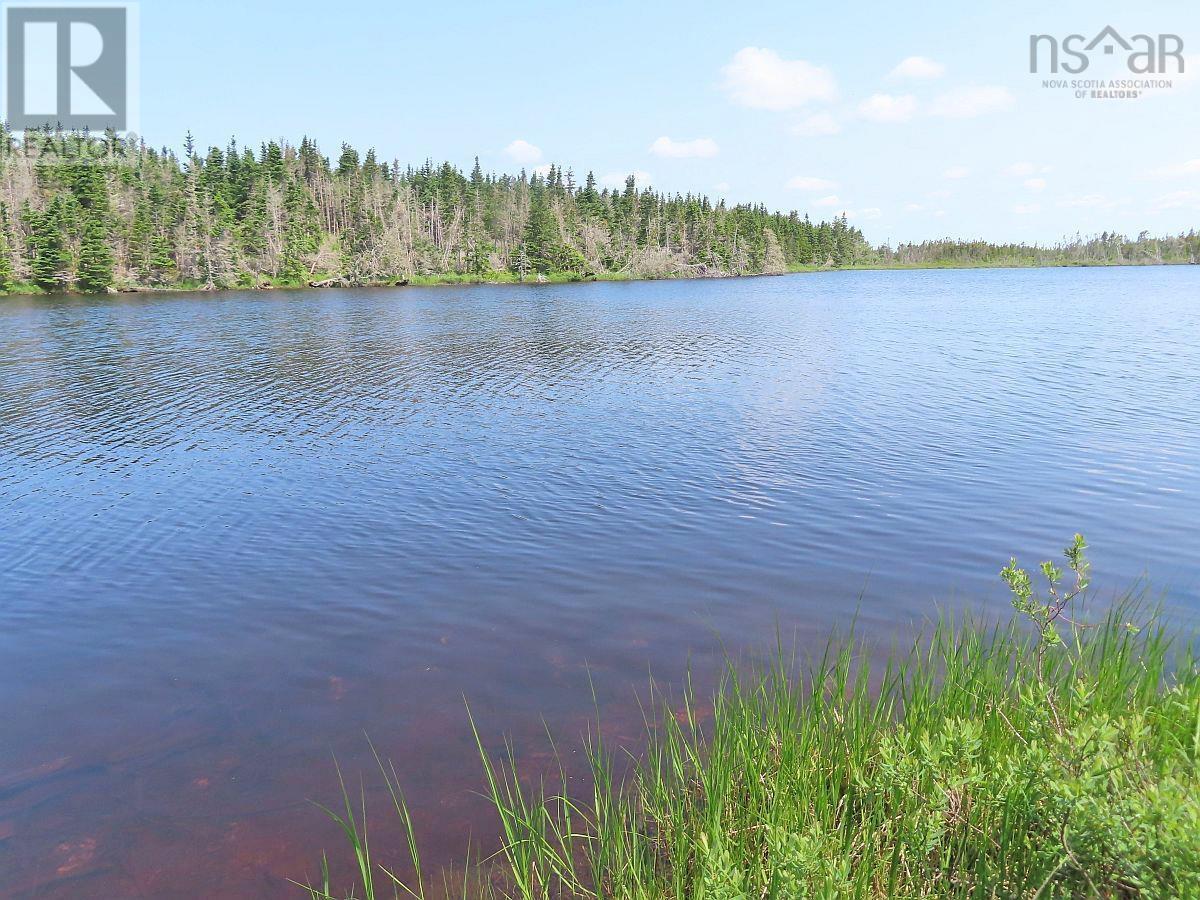 Lot 31 Belfry Lake Road, Gabarus Lake, Nova Scotia B1K 2E8 - Photo 8 - 202529486
