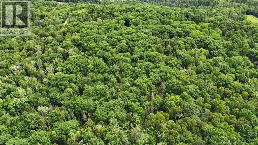 Lot 12-2 Hills Point Road, Oak Bay, New Brunswick  E3L 4K5 - Photo 10 - NB148346