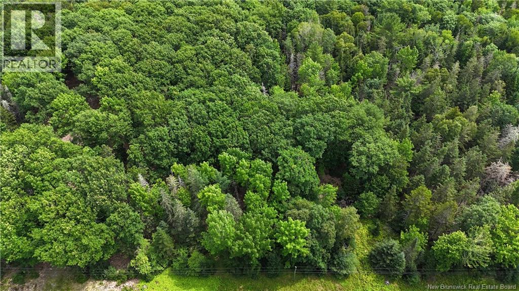 Lot 12-2 Hills Point Road, Oak Bay, New Brunswick  E3L 4K5 - Photo 12 - NB148346