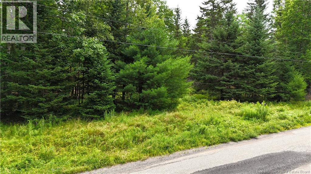 Lot 12-2 Hills Point Road, Oak Bay, New Brunswick  E3L 4K5 - Photo 5 - NB148346
