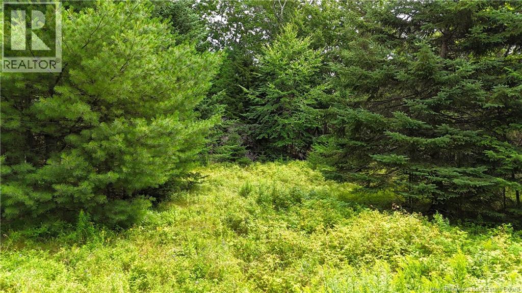Lot 12-2 Hills Point Road, Oak Bay, New Brunswick  E3L 4K5 - Photo 6 - NB148346