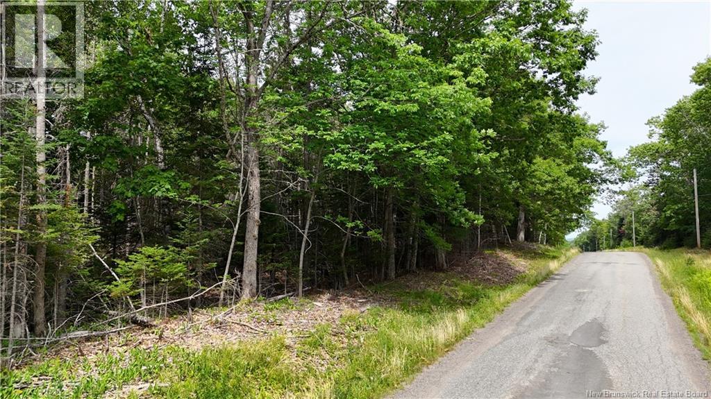 Lot 12-2 Hills Point Road, Oak Bay, New Brunswick  E3L 4K5 - Photo 8 - NB148346