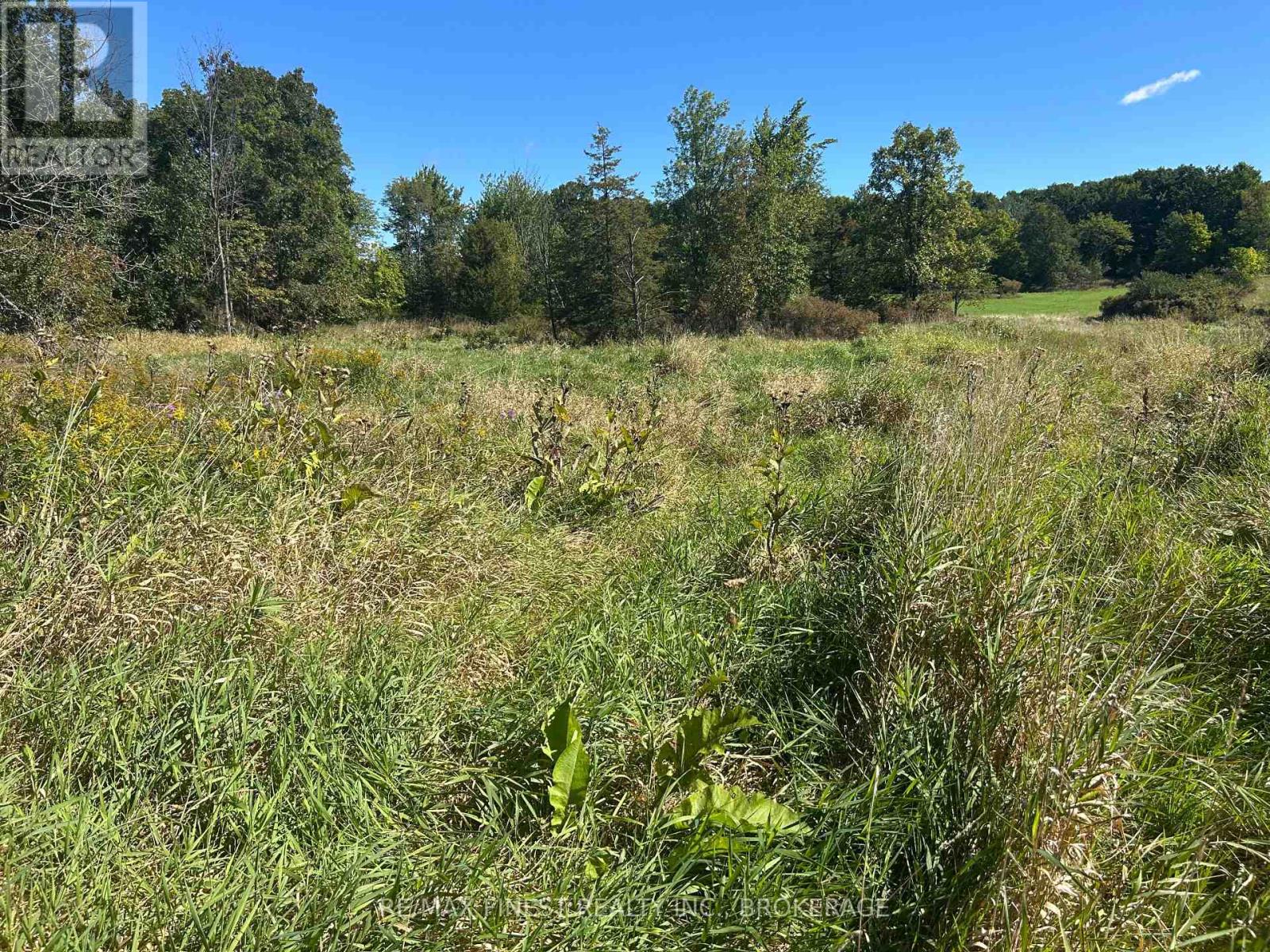 Lot 16 Battersea Road, Frontenac, Ontario  K0H 1H0 - Photo 3 - X13814340