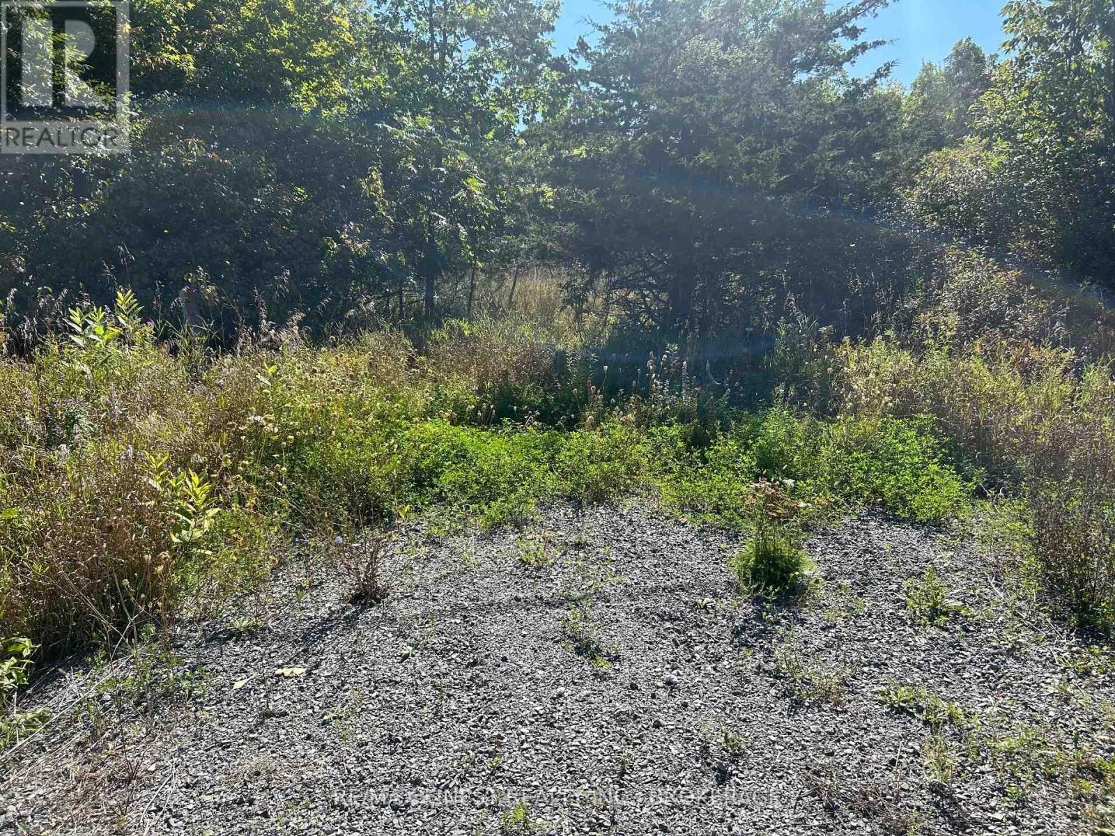 Lot 16 Battersea Road, Frontenac, Ontario  K0H 1H0 - Photo 6 - X13814340