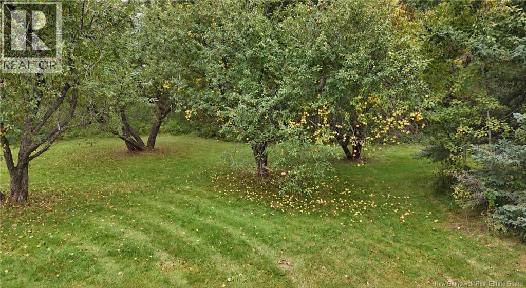 256 Lower Durham Road, Durham Bridge, New Brunswick  E6C 1G9 - Photo 25 - NB148273