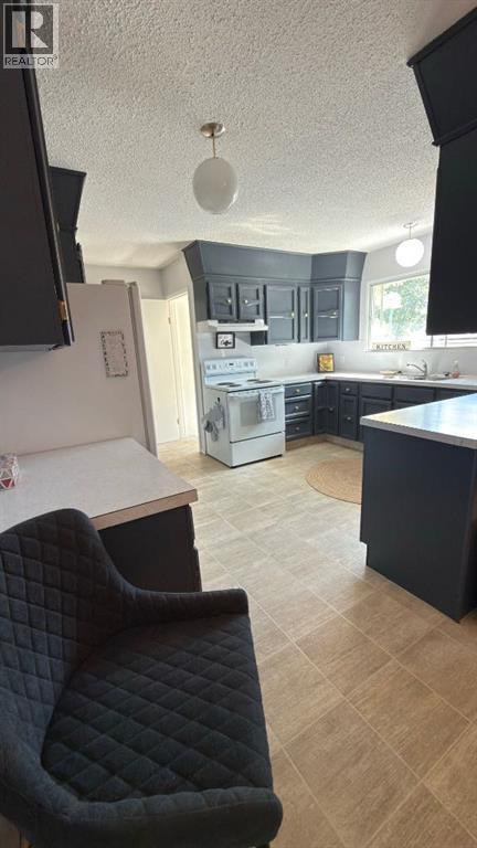 307 6 Avenue W, Hanna, Alberta  T0J 1P0 - Photo 8 - A2347166