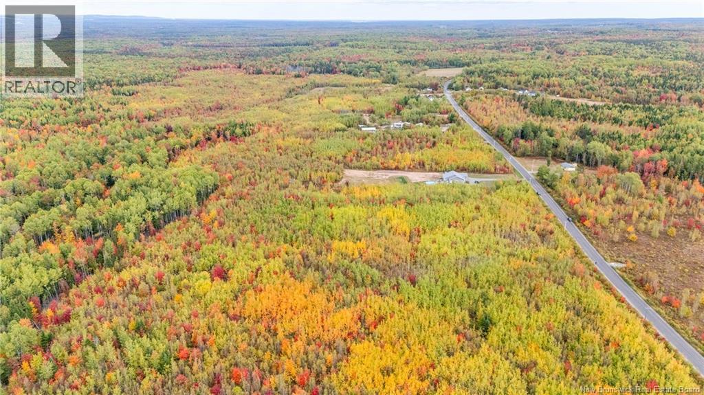21-3 Middlesex, Colpitts Settlement, New Brunswick  E4J 1G7 - Photo 14 - NB148350