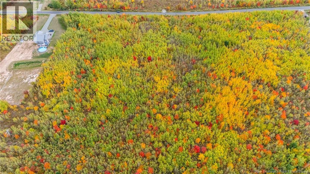 21-3 Middlesex, Colpitts Settlement, New Brunswick  E4J 1G7 - Photo 17 - NB148350