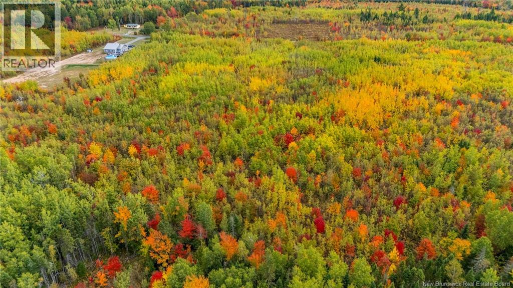 21-3 Middlesex, Colpitts Settlement, New Brunswick  E4J 1G7 - Photo 22 - NB148350