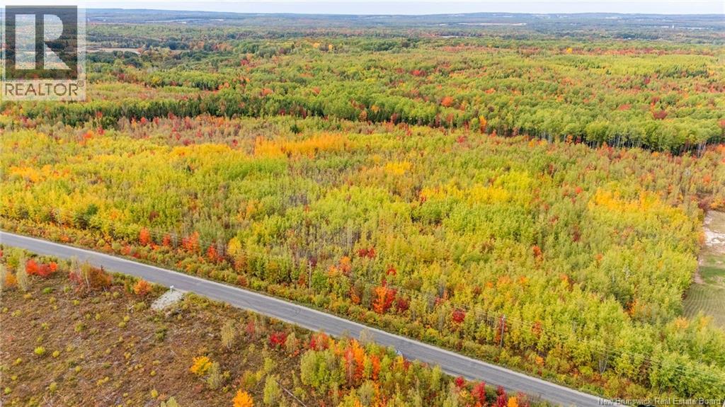 21-3 Middlesex, Colpitts Settlement, New Brunswick  E4J 1G7 - Photo 24 - NB148350