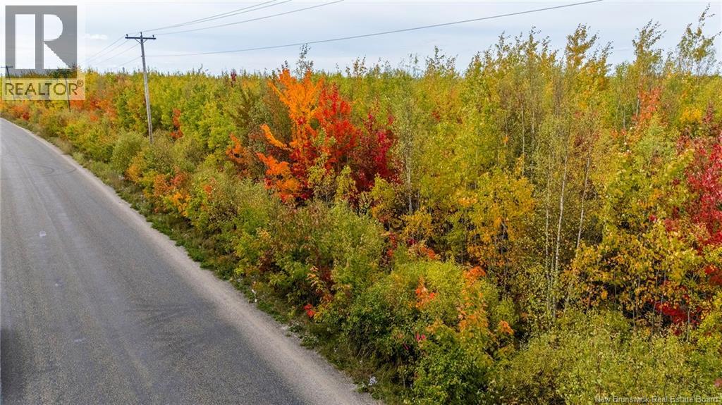 21-3 Middlesex, Colpitts Settlement, New Brunswick  E4J 1G7 - Photo 29 - NB148350