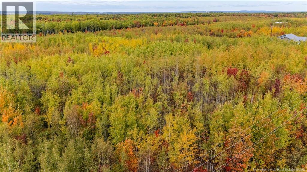 21-3 Middlesex, Colpitts Settlement, New Brunswick  E4J 1G7 - Photo 32 - NB148350