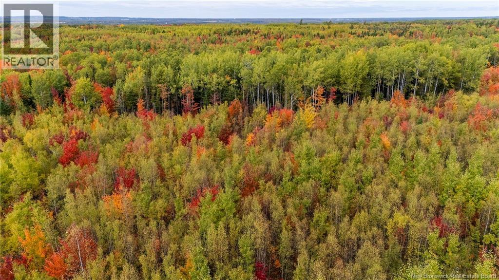 21-3 Middlesex, Colpitts Settlement, New Brunswick  E4J 1G7 - Photo 33 - NB148350