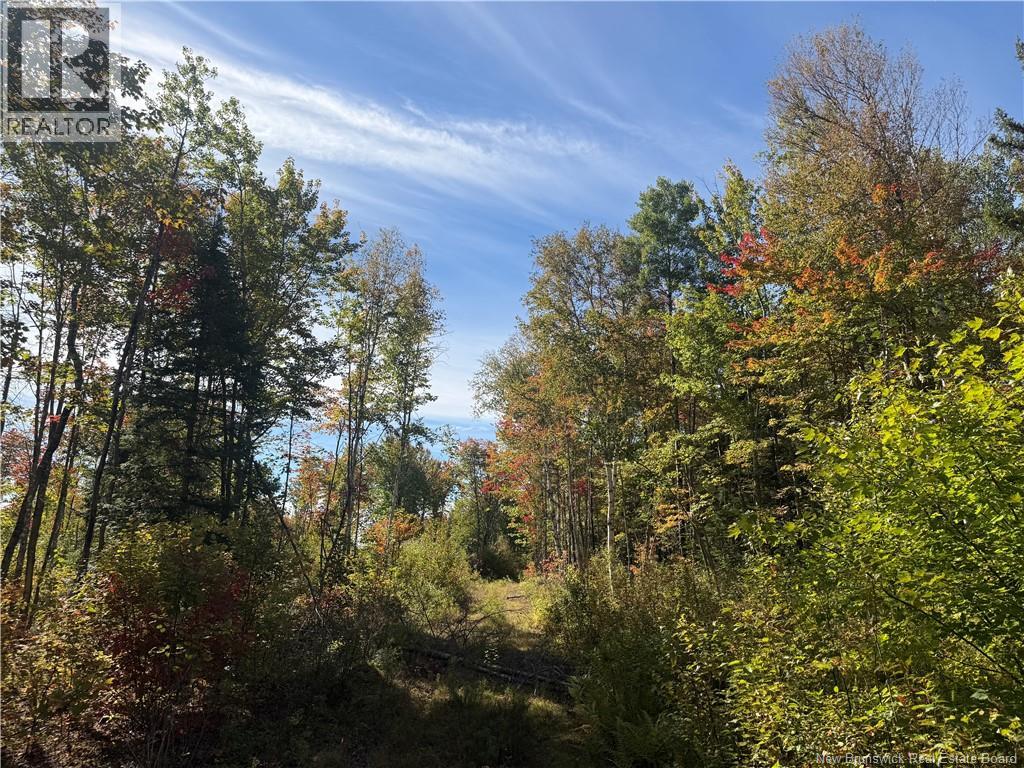 <h3>$55,000</h3><p>Lot Bettsburg Road, Bettsburg, New Brunswick</p>