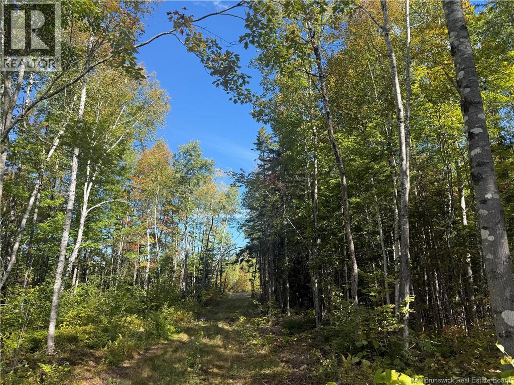 Lot Bettsburg Road, Bettsburg, New Brunswick  E9C 0A8 - Photo 2 - NB148330