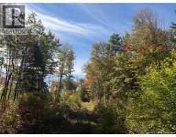 Lot Bettsburg Road, Bettsburg, New Brunswick