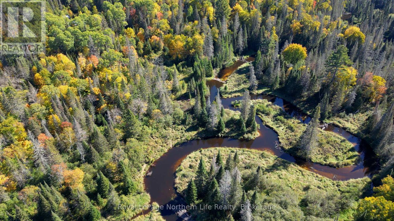 Pt Lt 5 Con 14 South Horn Lake Road, Armour, Ontario  P0A 1C0 - Photo 16 - X13814714