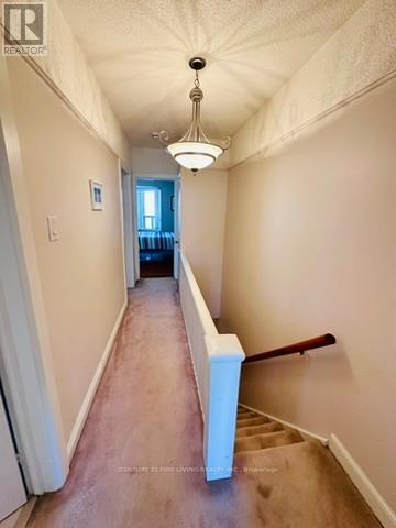 382 Roxton Road, Toronto, Ontario  M6G 3R2 - Photo 17 - C13814702