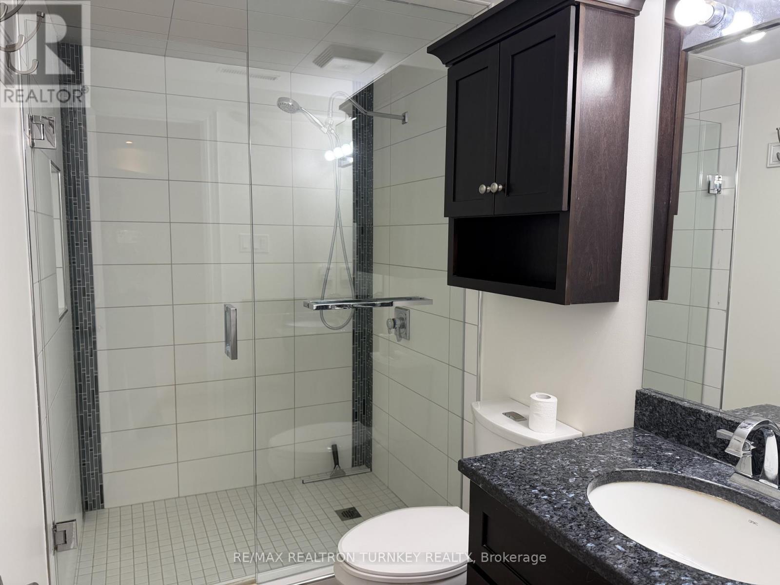 Lower - 310 Queen Street, Newmarket, Ontario  L3Y 2G4 - Photo 13 - N13814656