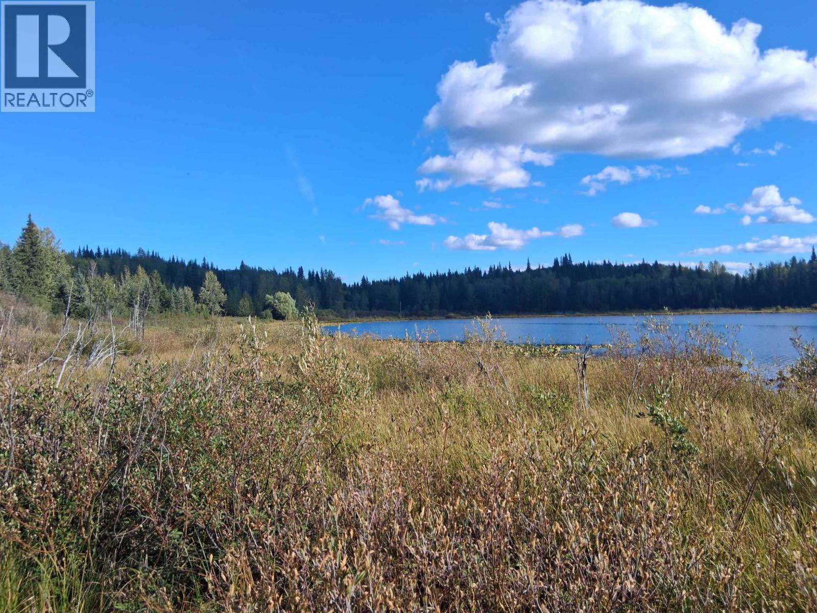 15861 Jarman Road, Houston, British Columbia V0J 1Z2 - Photo 3 - R3161708